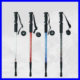 tongkat nordic walking