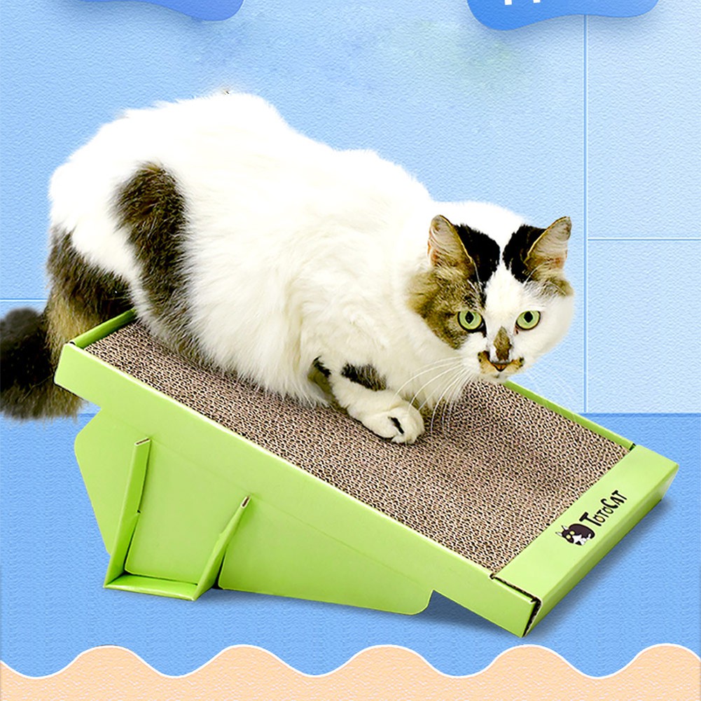 cat scratcher shopee