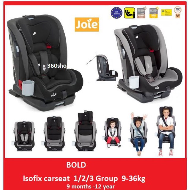 joie bold slate
