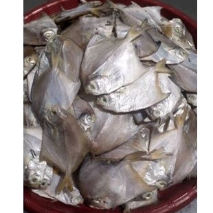 Salted Pomfret Fish 500 grams 1/ 2 Kilo. Bagan Chiuliap Bagansiapiapi 1/ 2 Kilo kg Fresh Fragrant Beautiful