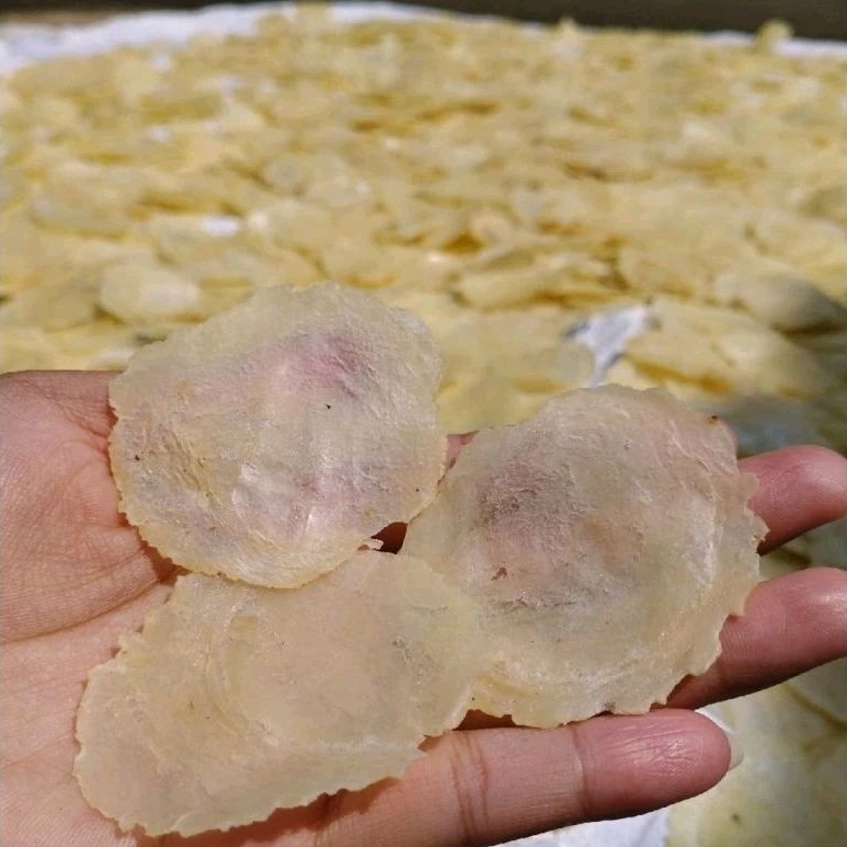 FRESH SUPER THIN MELINJO EMPING 1 SEED 1kg/ (Dry market) ORIGINAL LIMPUNG