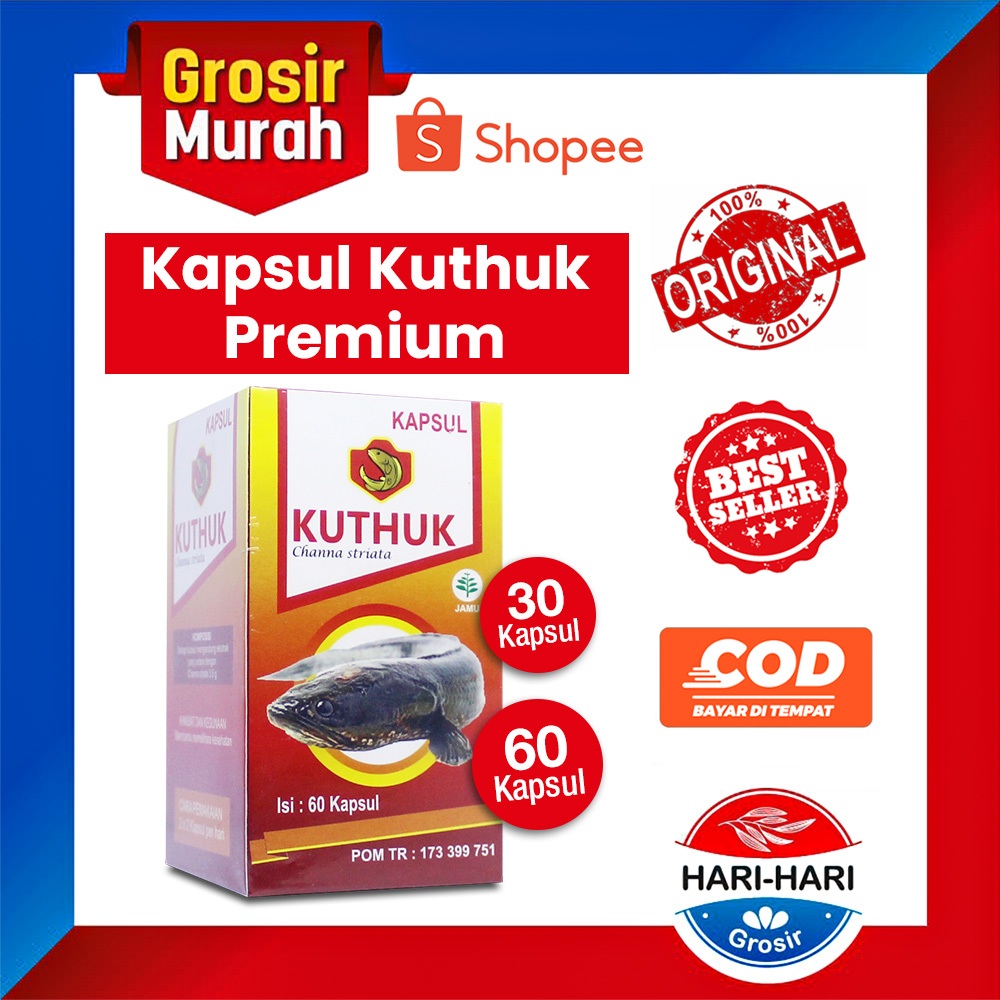 Fish Extract Cursed Fish ALBUMIN Cork Fish 5X Faster Dry Diabetes Wounds Post Surgery