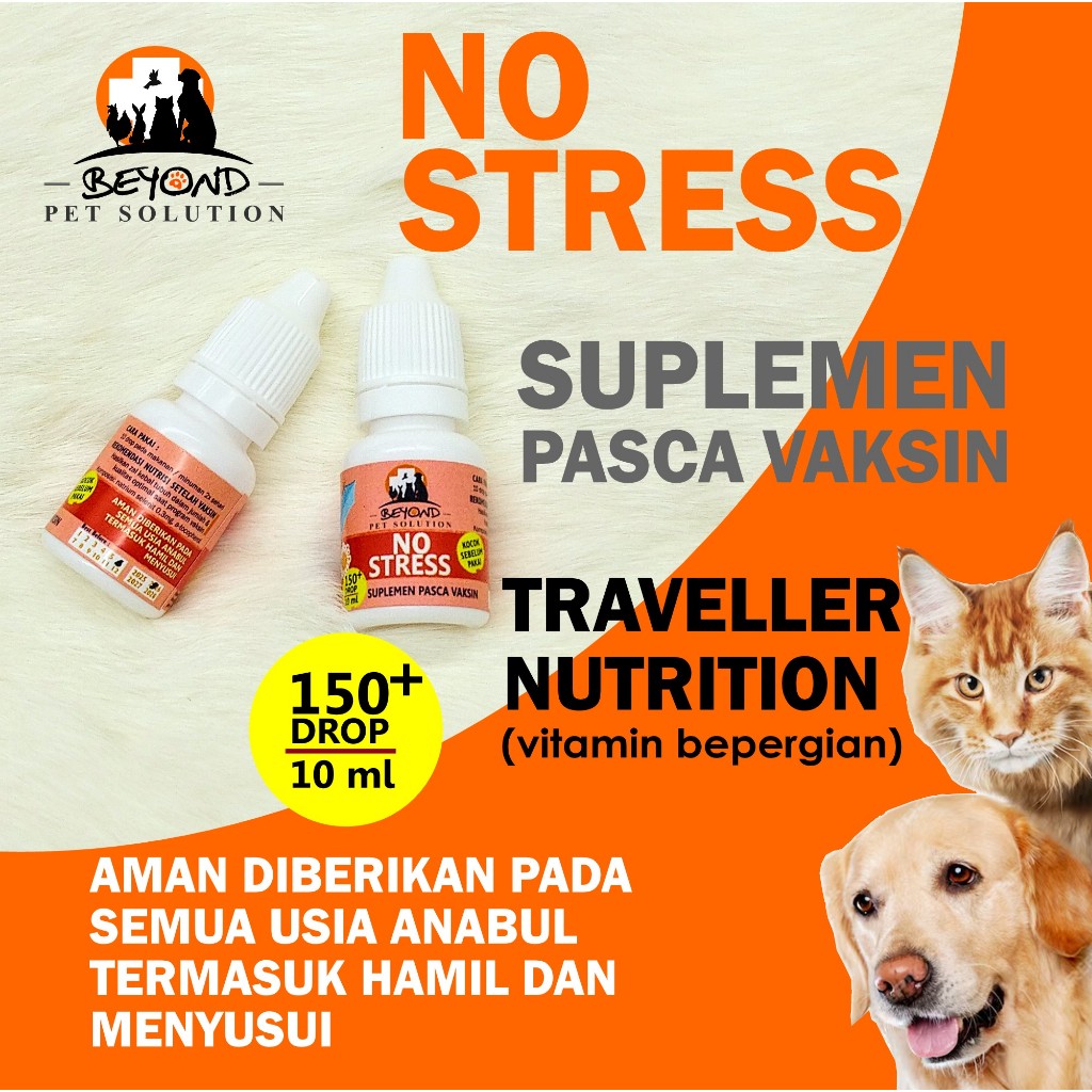 Vitamin Cat Dog Post Vaccine anti stress Travel Supplement 10ml beyond pet solution