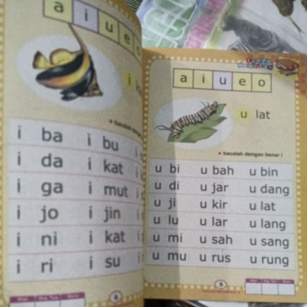 bg
