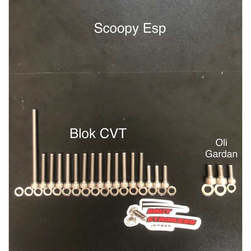 Stainless steel L bolt for Scoopy Esp THE 304 A2-70