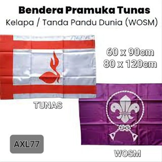 COCONUT TUNAS FLAG AND WOSM CONTENT