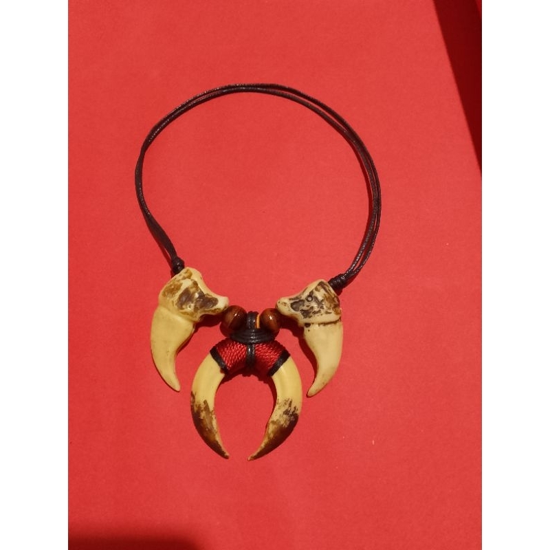 Tiger nail fang necklace