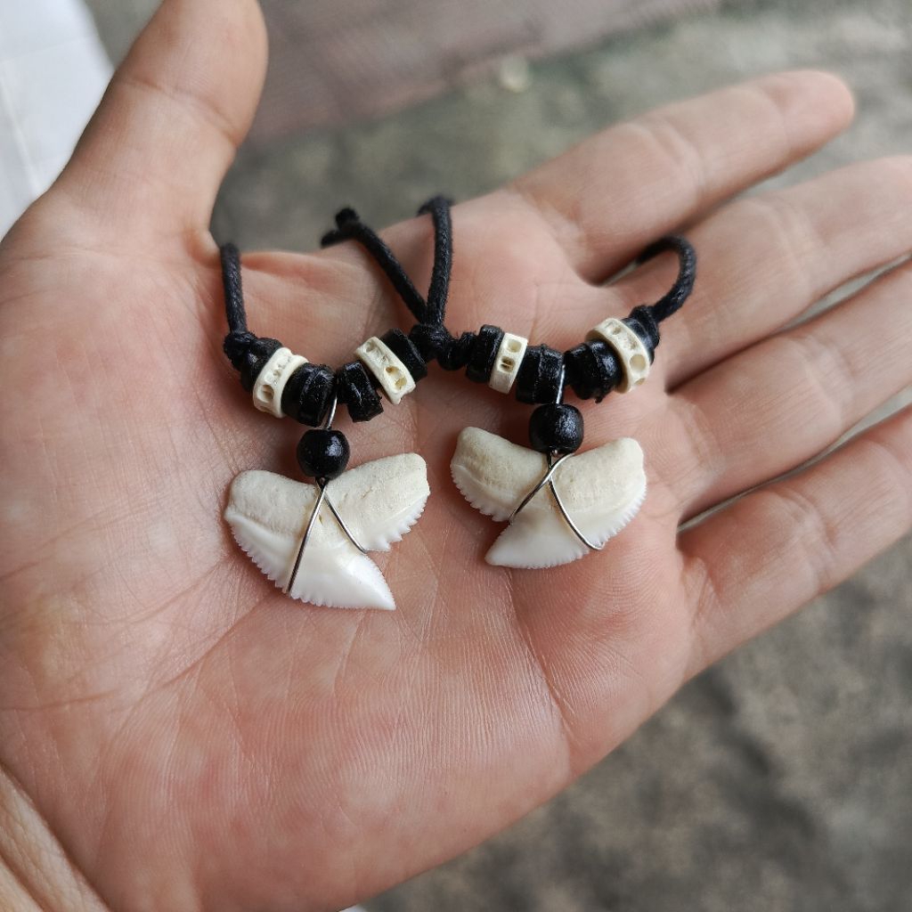 Contents: 10 pcs tiger triangle shark tooth necklace / Shark tooth necklace contains 10 pcs Ethnic necklace/
