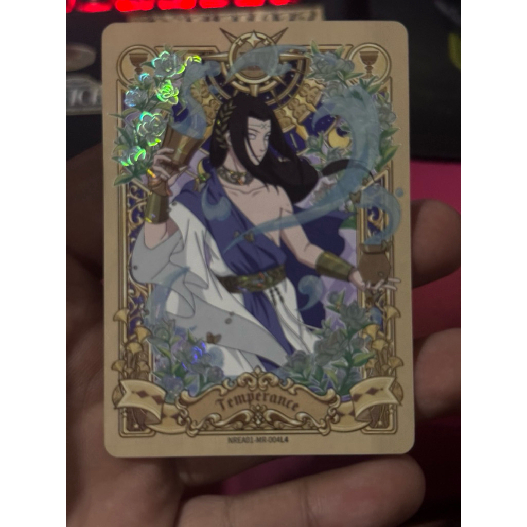 Kayou Naruto T2W8 Hit MR shikamaru & MR Neji Card