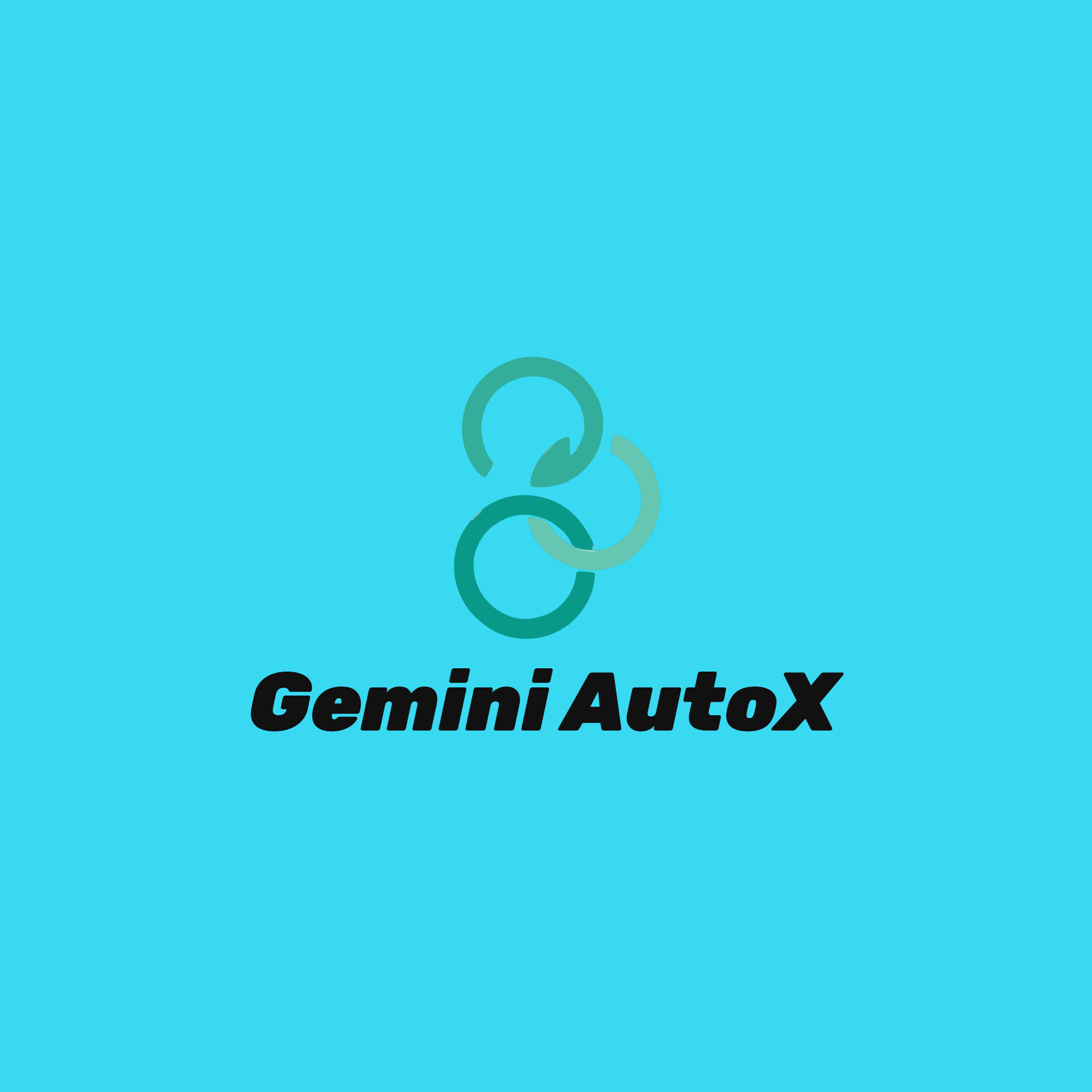 Gemini AutoX