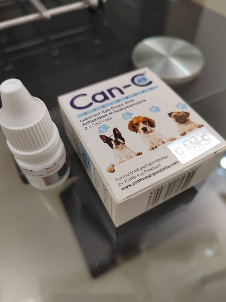 Can C Cataract Eye Drops For Dogs