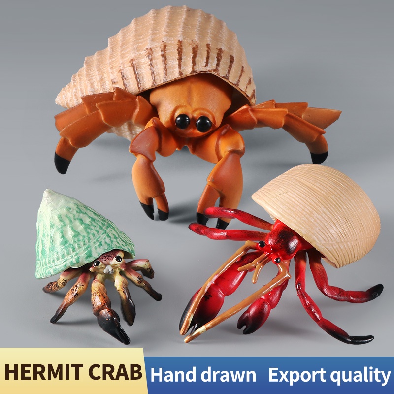 Marine Life Solid Simulation Hermit Crab Model Animal Underwater Boys ...