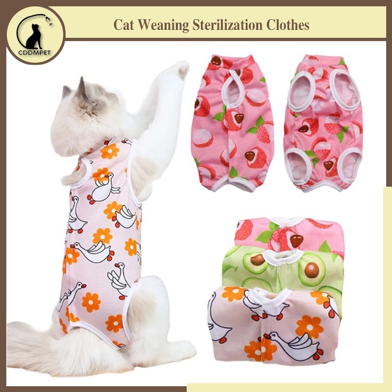 Cat Weaning Sterilization Clothes After Surgery Recovery Pet Care Suit Anti-licking Vest