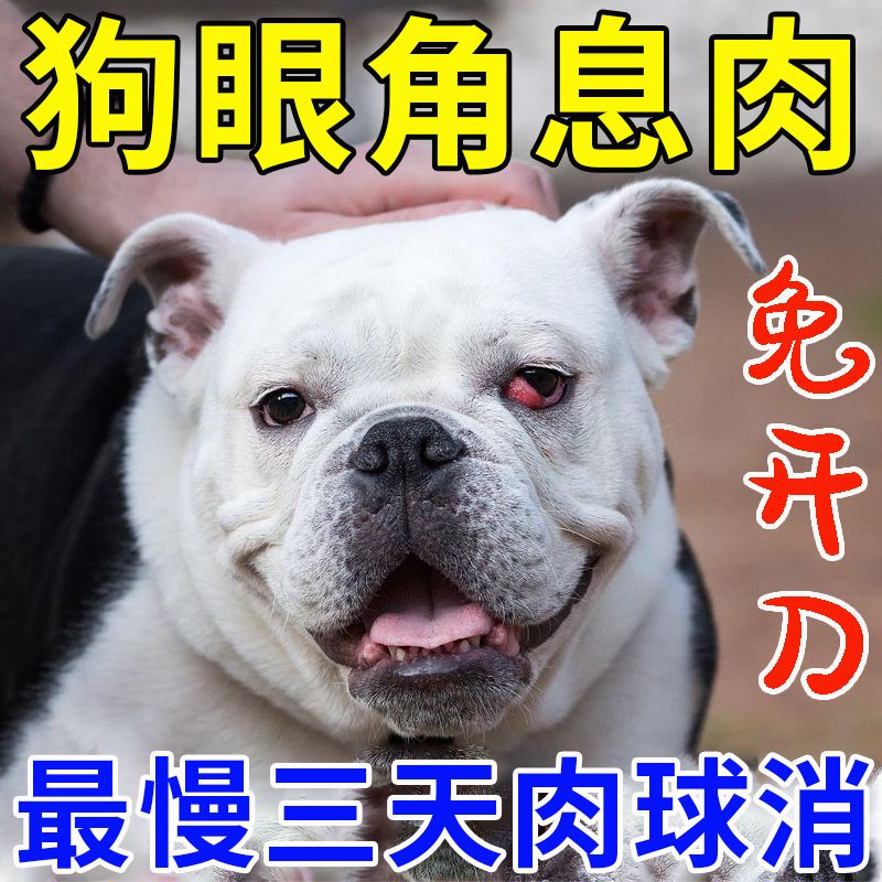 Dog's tearful eye drops Third[狗狗流泪眼药水第三眼睑增生樱桃眼息肉脱出发炎红肿去泪痕滴眼液