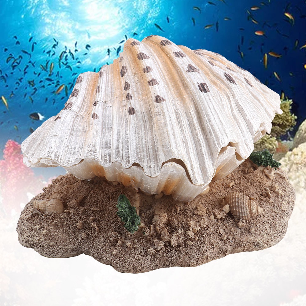 [DOUBLE] Aquarium Shell Clam Pearl Decoration Bubbling Decor Landscaping Supplies