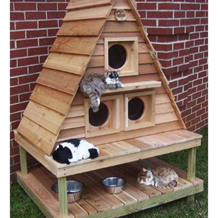 durable✈Cat house stray cat house anti-corrosion Finnish wood solid wood cat litter rainproof pet house cat house can b