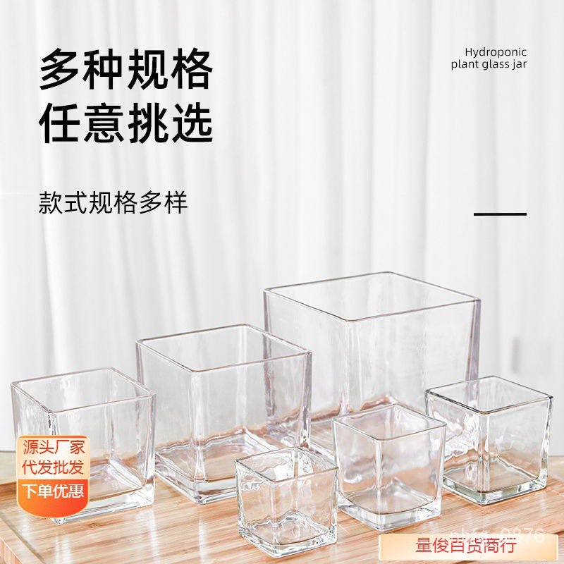 Get gifts/QM Simple Hydroponic Flowerpot Square Glass Vase Transparent Scindapsus Aureus Aquatic Plant Vessel Turtle Ja