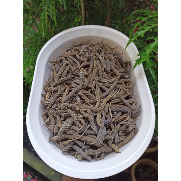 CABAI PINTAL/LADA/PULASAN(50 GRAM)