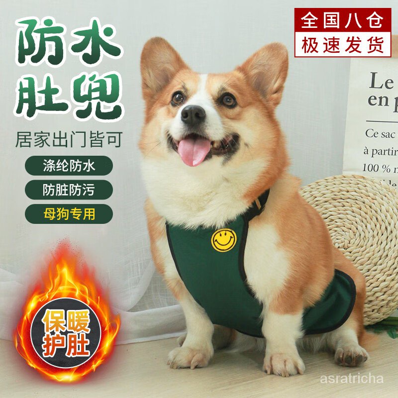 Get gifts/KY/Qibeiman Dog Apron Corgi Waterproof Medium-Sized Dog Pet Female Canine Raincoat Warm Belly Protection Anti