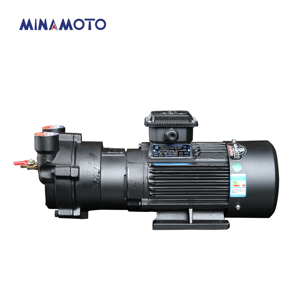 Durable High Quality Centrifugal Electric vacuum pump 5.5-4p 3.3kpa  68db(A)