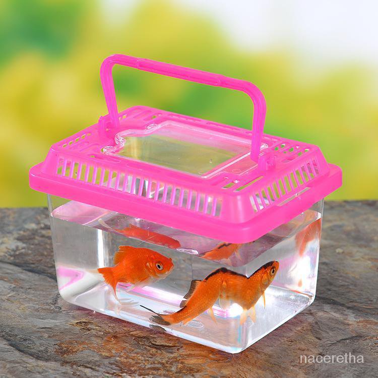 Get gifts/QEnclosed Plastic Fish Globe Turtle Jar Children's Portable Mini Pet Box Feeding Transport Box Desktop Small