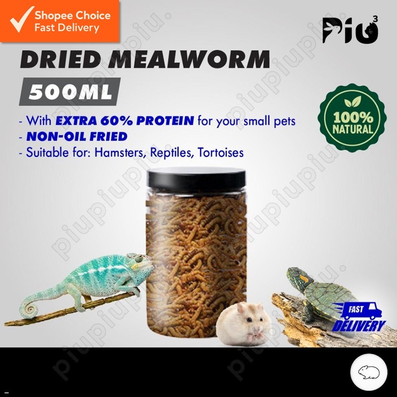 DRIED MEALWORM Hamster Treats Turtle Hedgehog Sugar Glider Chicken Feed 500ML (110g) 