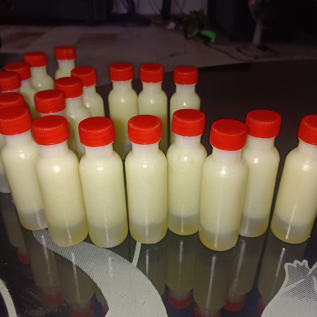 minyak campuran asli khas UTK LUMPUH  tulang angsa.lemok unta.akar kayu.