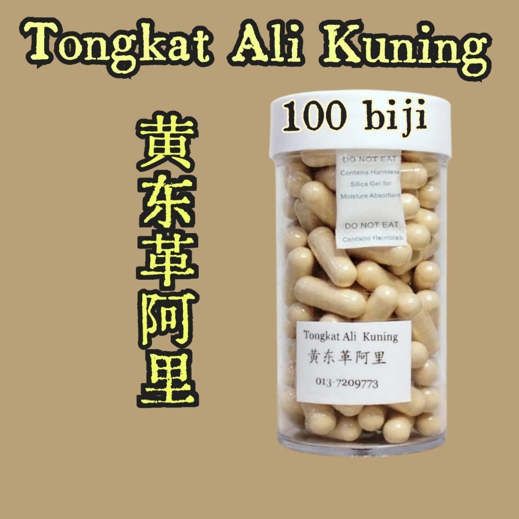 黄东革阿里 / Tongkat Ali  Kuning 100 biji / yellow Tongkat Ali