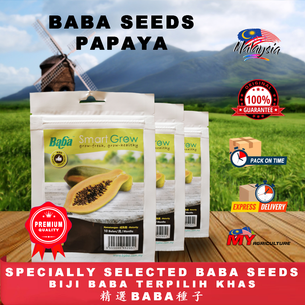 BABA BIJI BETIK PAPAYA SEEDS (8 SEEDS +-) - MY AGRICULTURE ( BUAH SAYUR ...