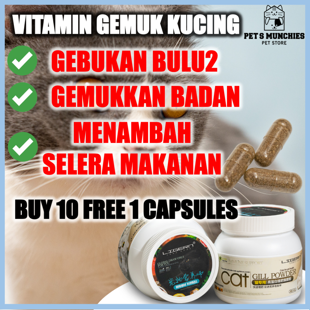 [BUY 10 FREE 1] Vitamin Gemuk Kucing Mengemukkan Kucing Vitamin Kucing
