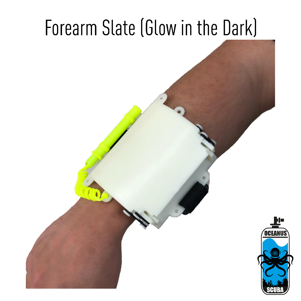 Forearm Slate, Underwater Writing Slate, Scuba Diving Slate Shopee