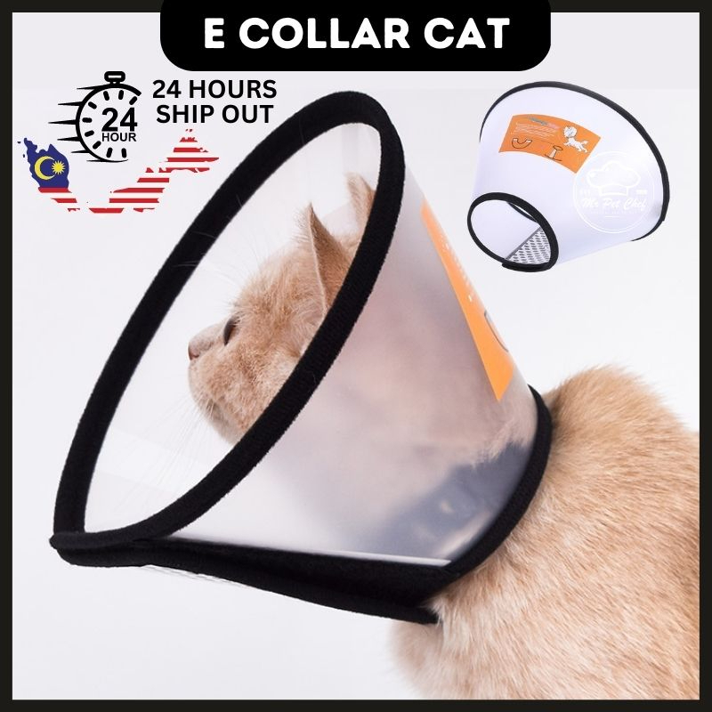 Cat head best sale cone collar