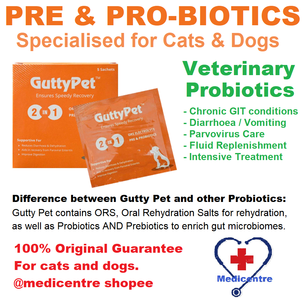 GuttyPet Probiotic Sachets (Better than Guardizen) for cats and dogs ...