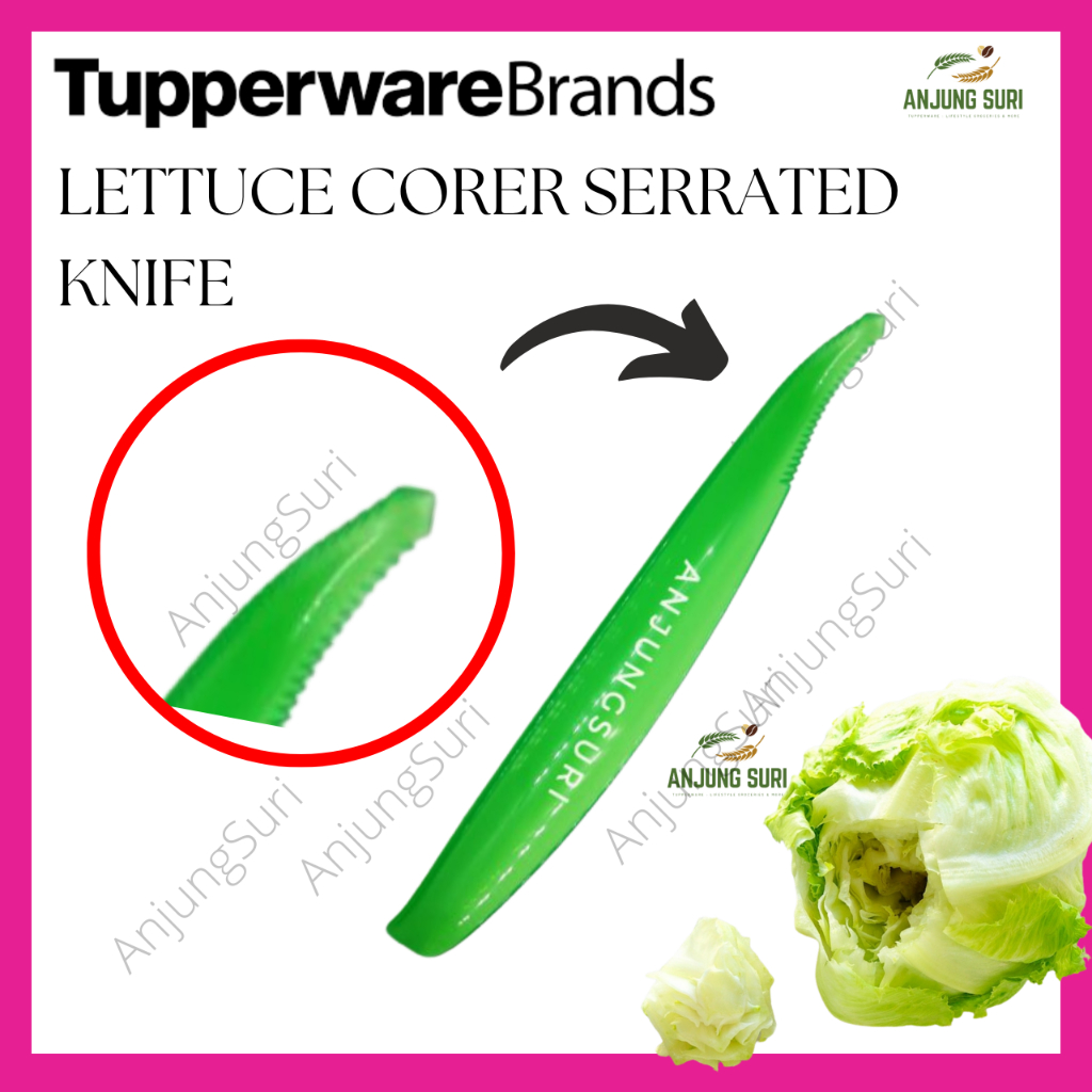 Tupperware Vintage Lettuce Corer Serrated Knife Shopee Malaysia