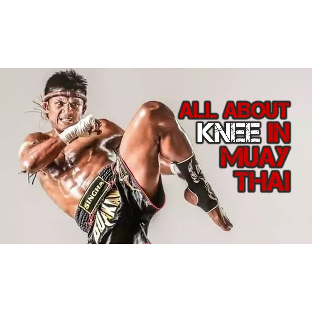 Knee basics in ancient muay thai martial art of Thailand (Muay Thai Video Class) Muay Thai video lesson