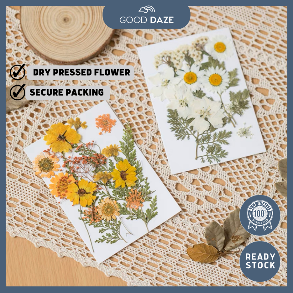 Good Daze Dry Pressed Flowers Dry Flower Art & Craft DIY 手工干花压花套 Kraf Bunga DIY Bingkai Mas Kahwin