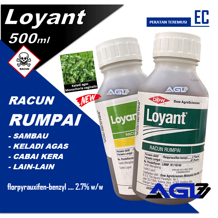 Loyant 500ml Racun Rumput Padi / Rumput Air / Keladi Agas