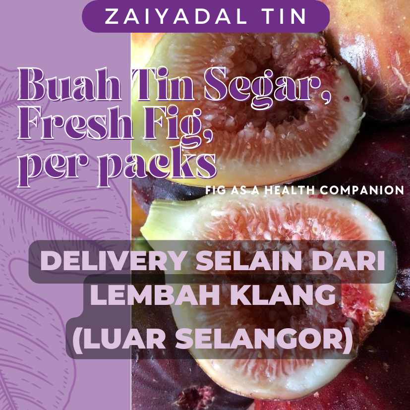Zaiyadal Buah Tin Segar; Fresh Figs Fruit (4 pieces). Penghantaran selain dari lembah Klang