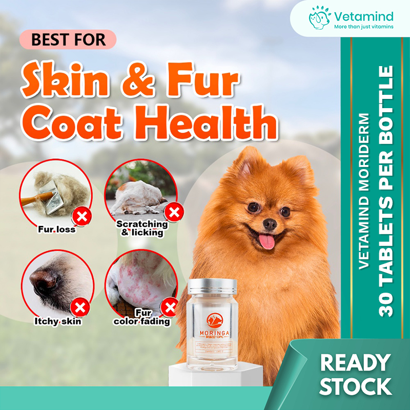 Vetamind MoriDerm Skin Coat Enhancer Cat Dog Allergic Hair Evening