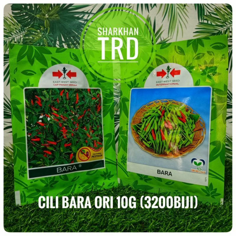 Paket Baru Cili BARA (Ori) 10gm (3200biji) Biji Benih Cili Api Padi F1 Hybrid Seeds Cap Panah Merah East West Seed.