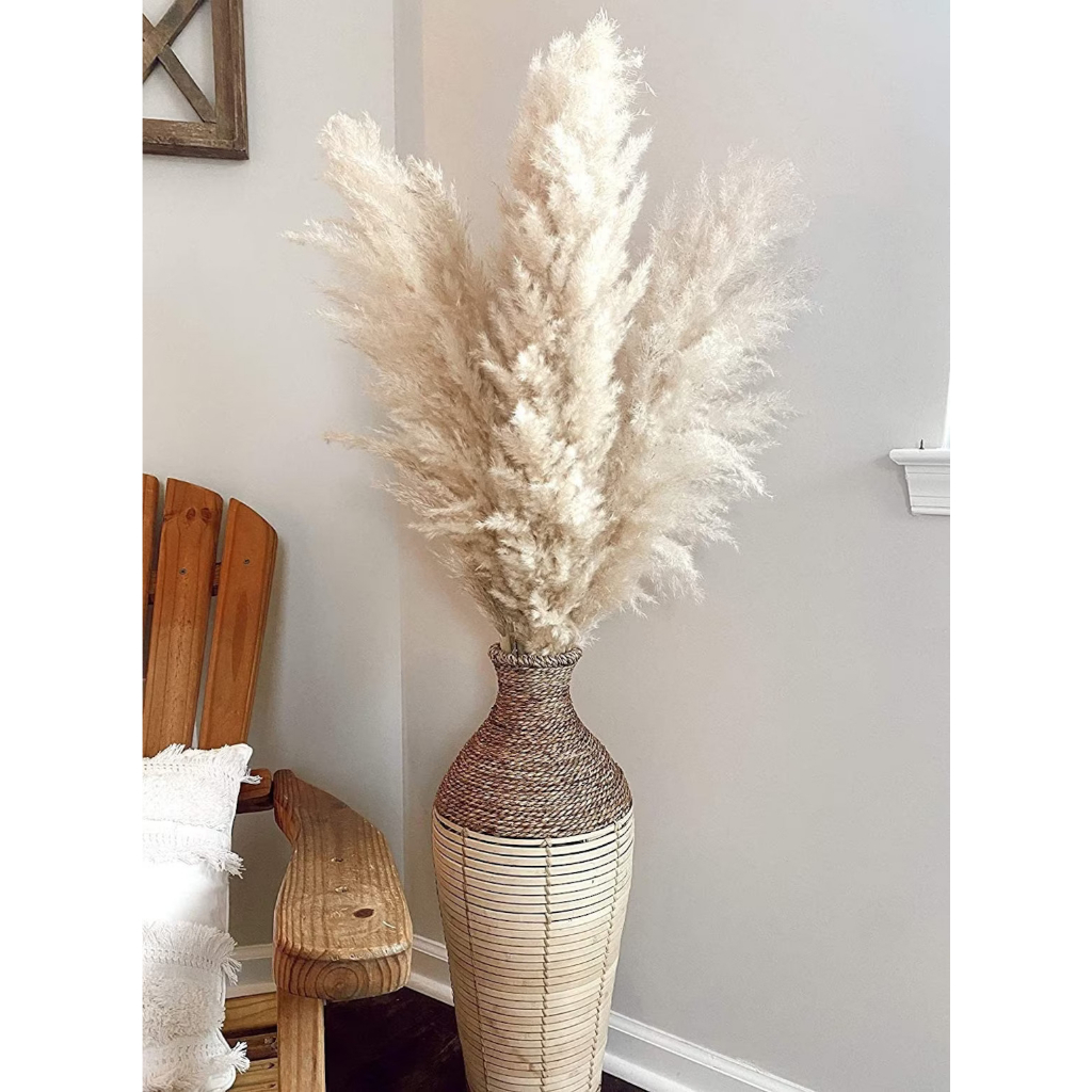 Pampas Grass Fluffy Dried Flower Natural Bunga Big Besar Pampas Grass ...