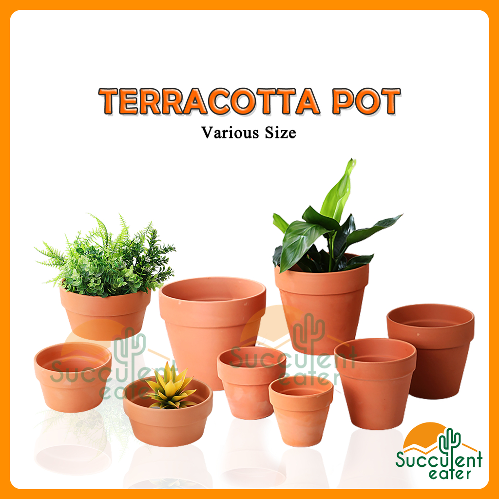 Terracotta Pot Ceramic Red Pottery Clay Pot Succulent Flower 红陶 多肉植物 陶瓷花盆