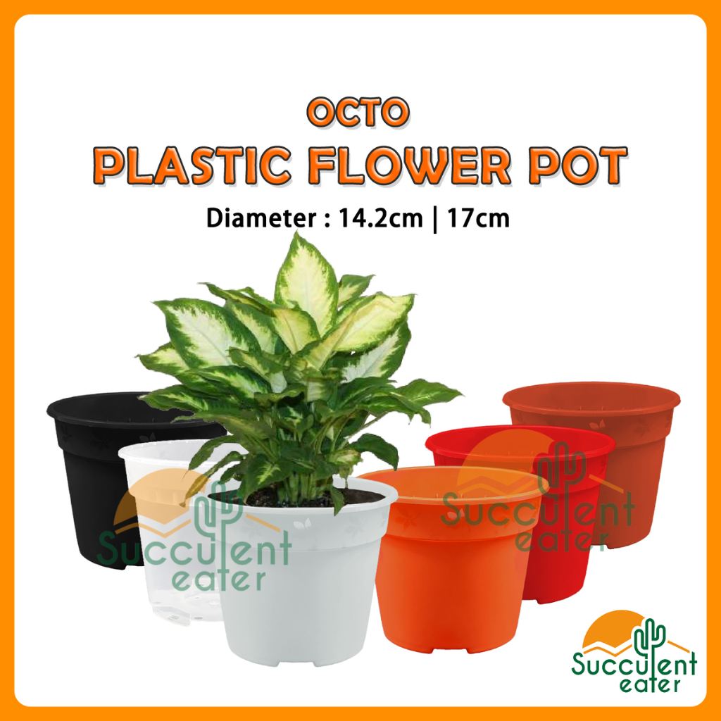 14cm 17cm Octo Plastic Flower Pot Bunga Pasu Pot 150 170 Decoration Transparent Orchid Garden Home 塑料花盆