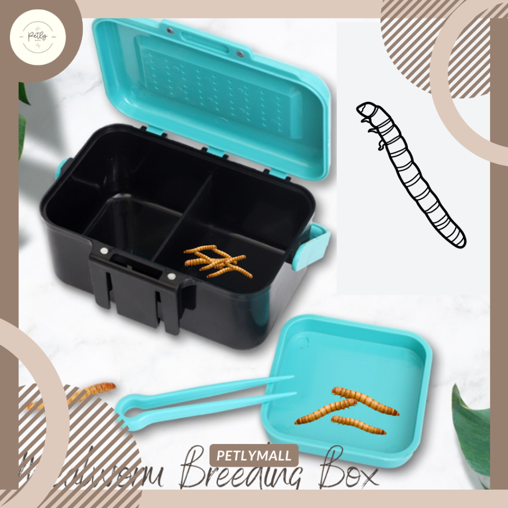 [PetlyMall] Mealworm Superworm Live Feeder Breeding Box With Tweezers