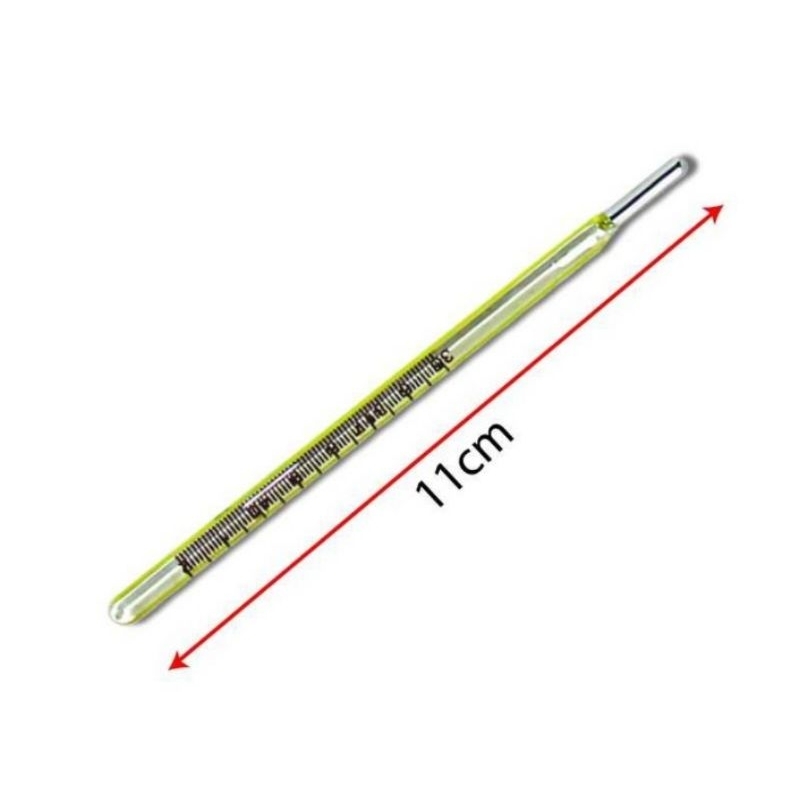 10pcs Thermometer Klinik Clinical Thermometer [Ready Stock] Shopee