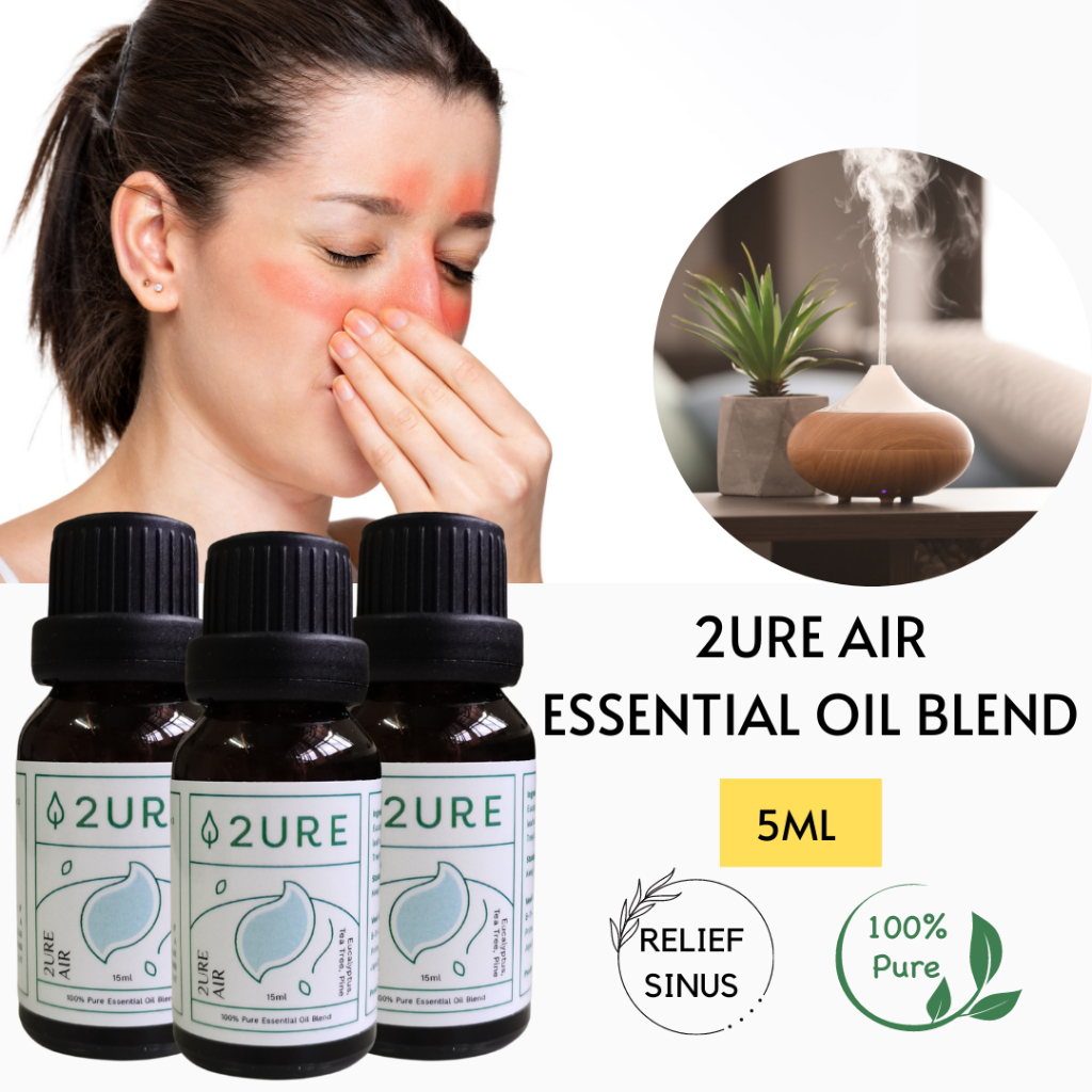 dottera - Prices and Promotions - Mar 2023 | Shopee Malaysia
