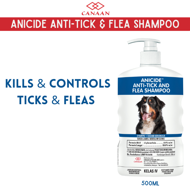 Anicide Anti Tick & Flea Shampoo Kills And Controls Ticks And Fleas EXP
