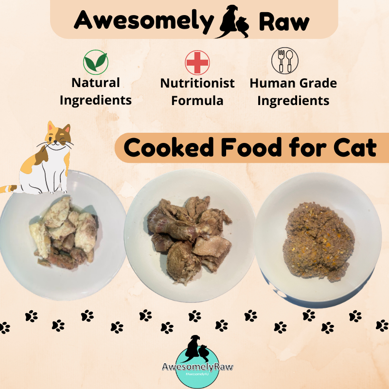 Kitten Feeding Schedule How Much Food Kittens Need, 46 OFF
