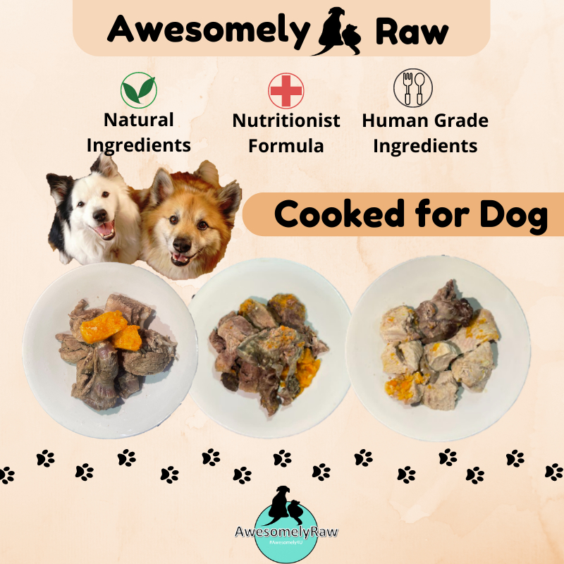 Can You Give Dogs Frozen Meat