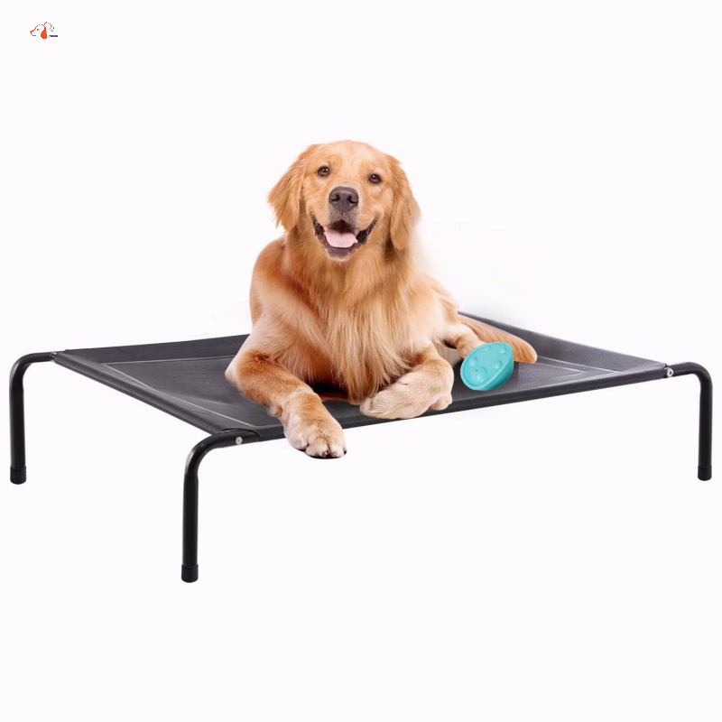 Elevated Outdoor Dog Bed Portable Indoor & Outdoor Pet Hammock Bed with Skid-Resistant Feet Frame with Breathable Mesh